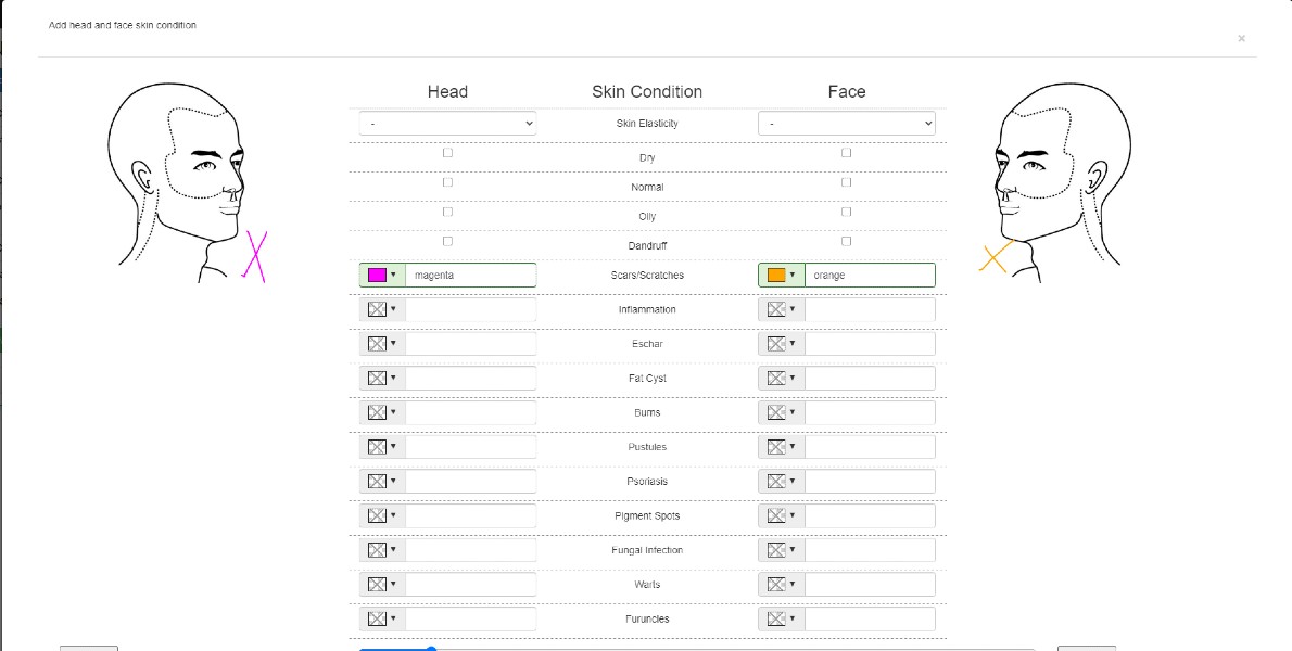 Personal Portfolio Images